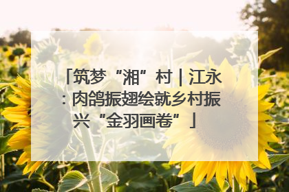 筑梦“湘”村｜江永：肉鸽振翅绘就乡村振兴“金羽画卷”