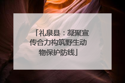 礼泉县：凝聚宣传合力构筑野生动物保护防线