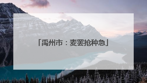 禹州市：麦罢抢种急