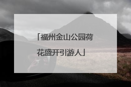 福州金山公园荷花盛开引游人
