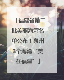 福建省第二批美丽海湾名单公布！泉州3个海湾“美在福建”