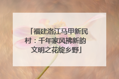 福建洛江马甲新民村：千年家风拂新韵 文明之花绽乡野