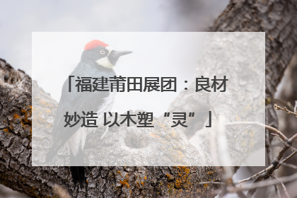 福建莆田展团：良材妙造 以木塑“灵”
