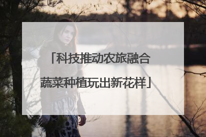 科技推动农旅融合 蔬菜种植玩出新花样
