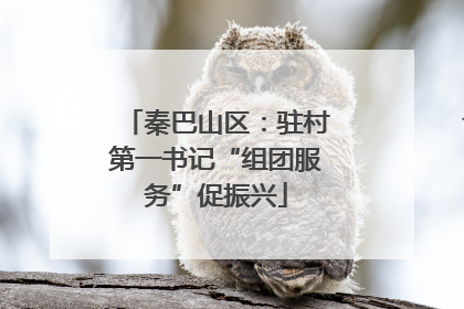 秦巴山区：驻村第一书记“组团服务”促振兴