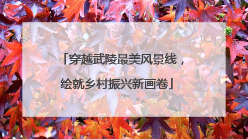穿越武陵最美风景线，绘就乡村振兴新画卷