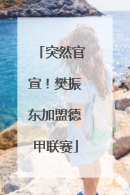 突然官宣！樊振东加盟德甲联赛