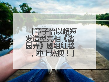 章子怡以超短发造型亮相《酱园弄》剧组红毯，冲上热搜！