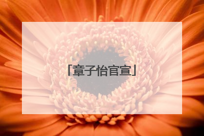 章子怡官宣