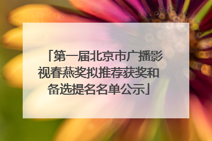 第一届北京市广播影视春燕奖拟推荐获奖和备选提名名单公示