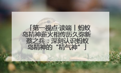 第一视点·读端丨蚂蚁岛精神薪火相传历久弥新 蔡之兵：深刻认识蚂蚁岛精神的“精气神”