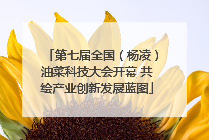 第七届全国（杨凌）油菜科技大会开幕 共绘产业创新发展蓝图