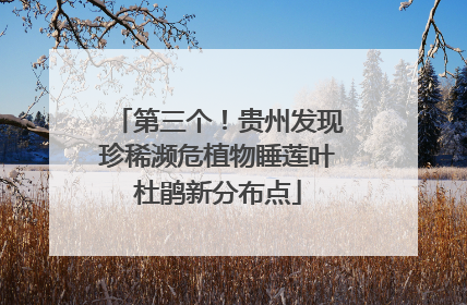 第三个！贵州发现珍稀濒危植物睡莲叶杜鹃新分布点