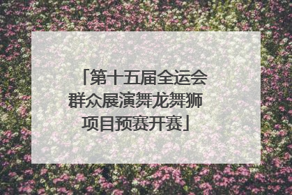第十五届全运会群众展演舞龙舞狮项目预赛开赛