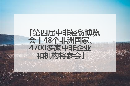 第四届中非经贸博览会丨48个非洲国家、4700多家中非企业和机构将参会