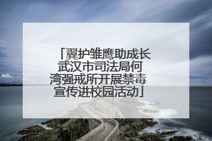 翼护雏鹰助成长 武汉市司法局何湾强戒所开展禁毒宣传进校园活动
