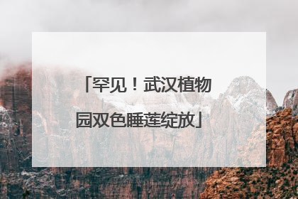 罕见！武汉植物园双色睡莲绽放