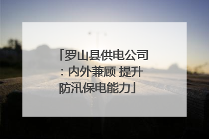 罗山县供电公司：内外兼顾 提升防汛保电能力