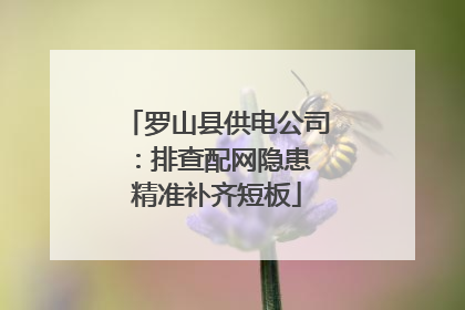 罗山县供电公司：排查配网隐患 精准补齐短板