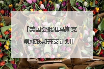 美国会批准马斯克削减联邦开支计划