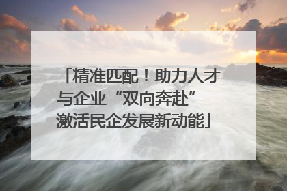 精准匹配！助力人才与企业“双向奔赴” 激活民企发展新动能