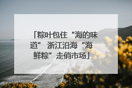粽叶包住“海的味道” 浙江沿海“海鲜粽”走俏市场