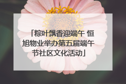 粽叶飘香迎端午 恒旭物业举办第五届端午节社区文化活动