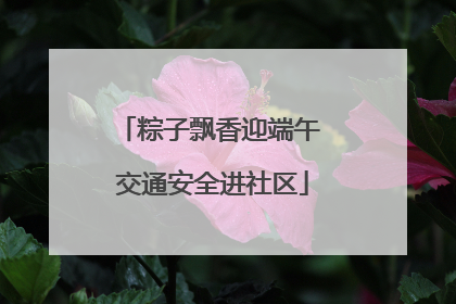 粽子飘香迎端午 交通安全进社区