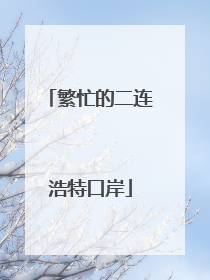 繁忙的二连浩特口岸