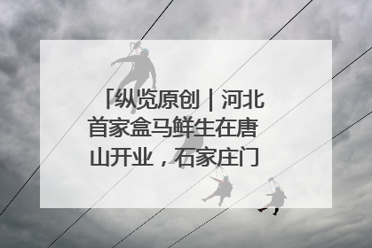 纵览原创｜河北首家盒马鲜生在唐山开业，石家庄门店预计8月开业