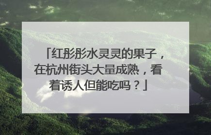 红彤彤水灵灵的果子，在杭州街头大量成熟，看着诱人但能吃吗？