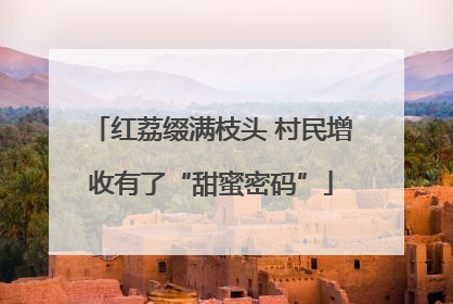 红荔缀满枝头 村民增收有了“甜蜜密码”