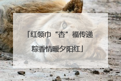 红领巾“杏”福传递 粽香情暖夕阳红