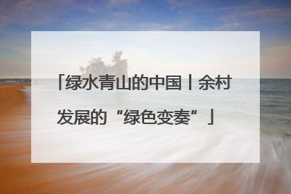 绿水青山的中国丨余村发展的“绿色变奏”