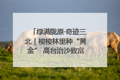 绿满陇原·奇迹三北｜梭梭林里种“黄金” 高台治沙致富很“从容”