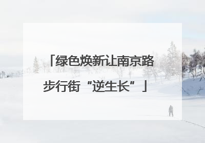 绿色焕新让南京路步行街“逆生长”