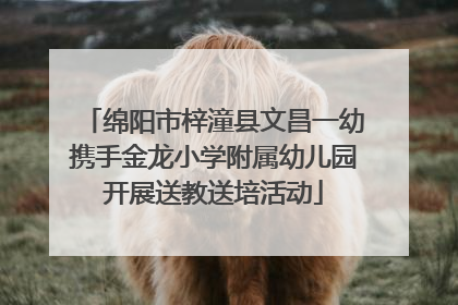 绵阳市梓潼县文昌一幼携手金龙小学附属幼儿园开展送教送培活动