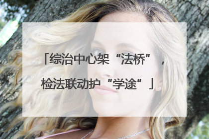 综治中心架“法桥”，检法联动护“学途”
