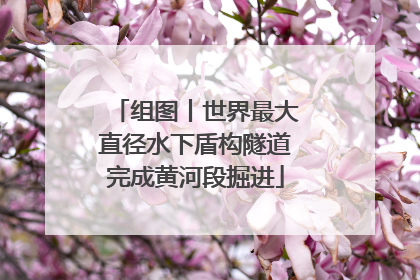 组图丨世界最大直径水下盾构隧道完成黄河段掘进