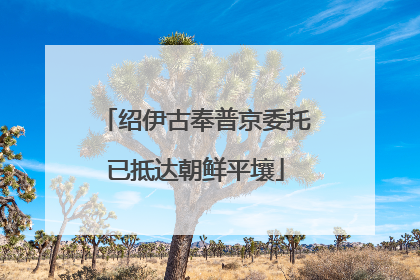 绍伊古奉普京委托已抵达朝鲜平壤