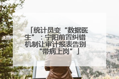 统计员变“数据医生”：宁阳前置纠错机制让审计报表告别“带病上岗”