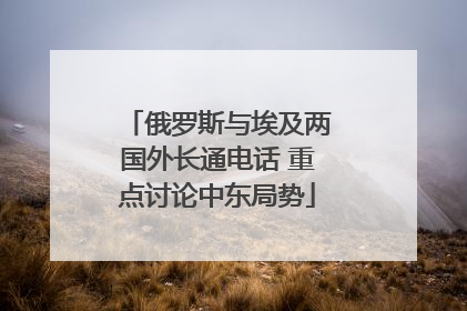 俄罗斯与埃及两国外长通电话 重点讨论中东局势