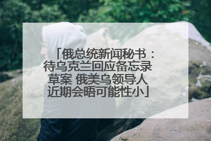 俄总统新闻秘书：待乌克兰回应备忘录草案 俄美乌领导人近期会晤可能性小