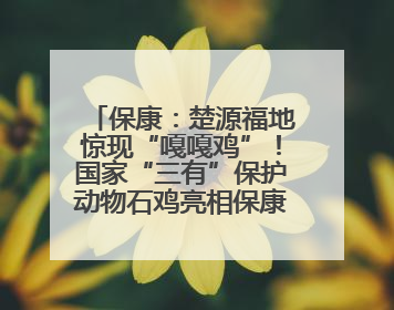 保康：楚源福地惊现“嘎嘎鸡”！国家“三有”保护动物石鸡亮相保康沿河公园