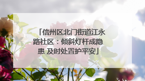 信州区北门街道江永路社区：倾斜灯杆成隐患 及时处置护平安