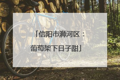 信阳市浉河区：葡萄架下日子甜