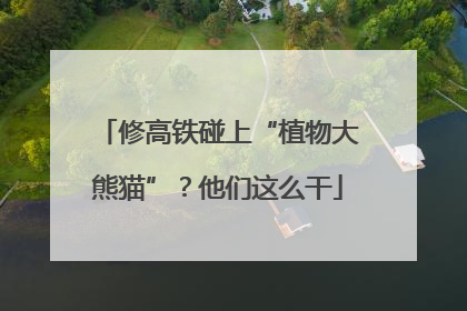 修高铁碰上“植物大熊猫”？他们这么干