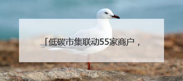 低碳市集联动55家商户，集章换券享优惠，杨浦“减碳嘉年华”周末亮相大学路