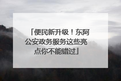 便民新升级！东阿公安政务服务这些亮点你不能错过