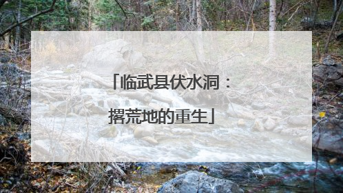 临武县伏水洞：撂荒地的重生